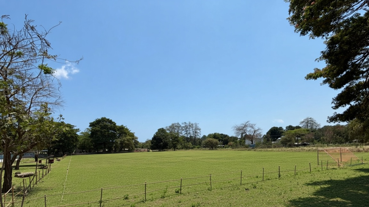 Campo de Futebol
