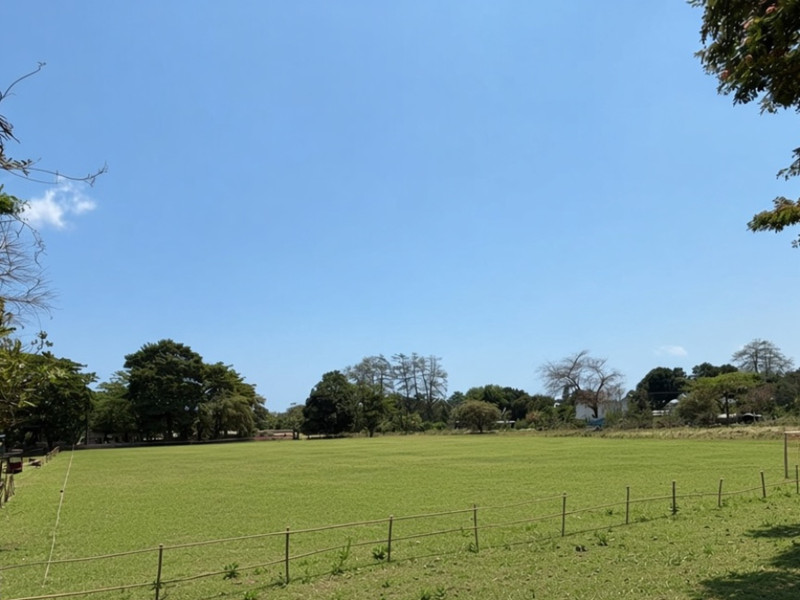 Campo de Futebol